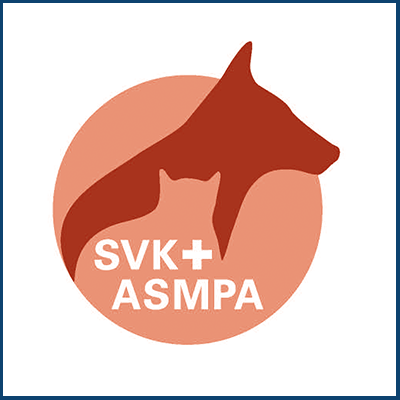 SVK - ASMPA
